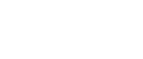 Steele Spines ChiropracticLogo